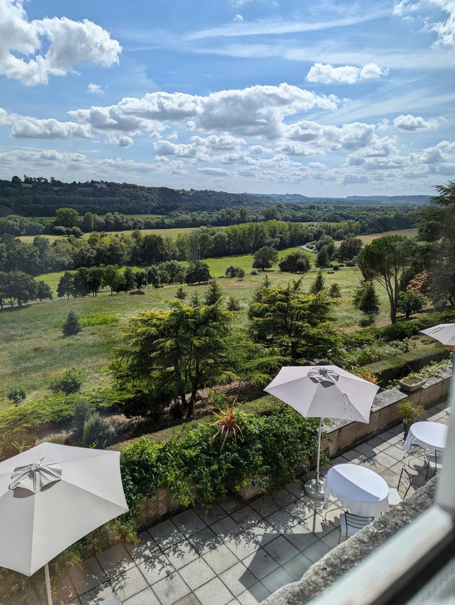 Chateau Haute Roche Oudon Esterno foto